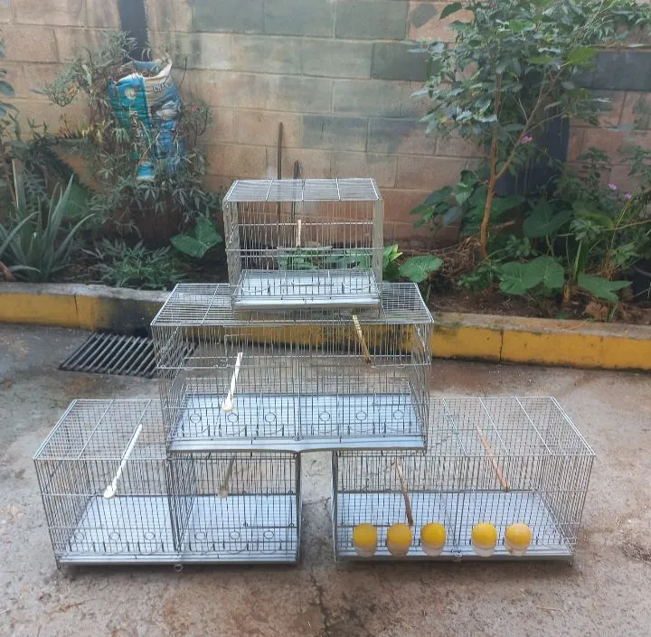 Gaiolas para Pássaros