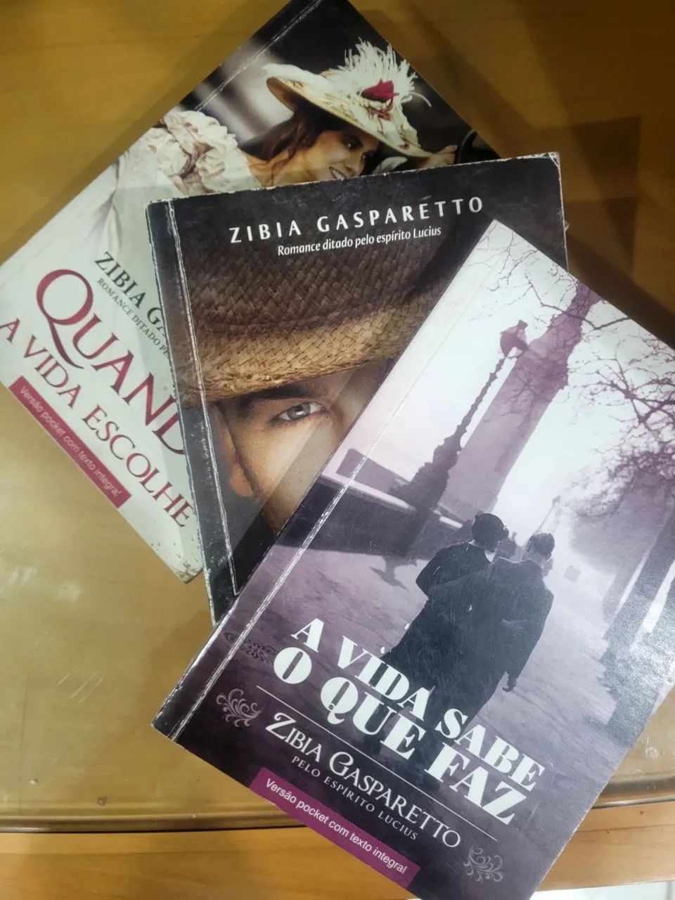 Zibia Gasparetto Spiritist Romance Book Collection64304356488450120