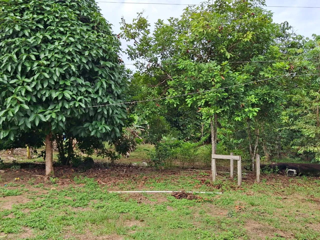 Aceito proposta  - Foto 5