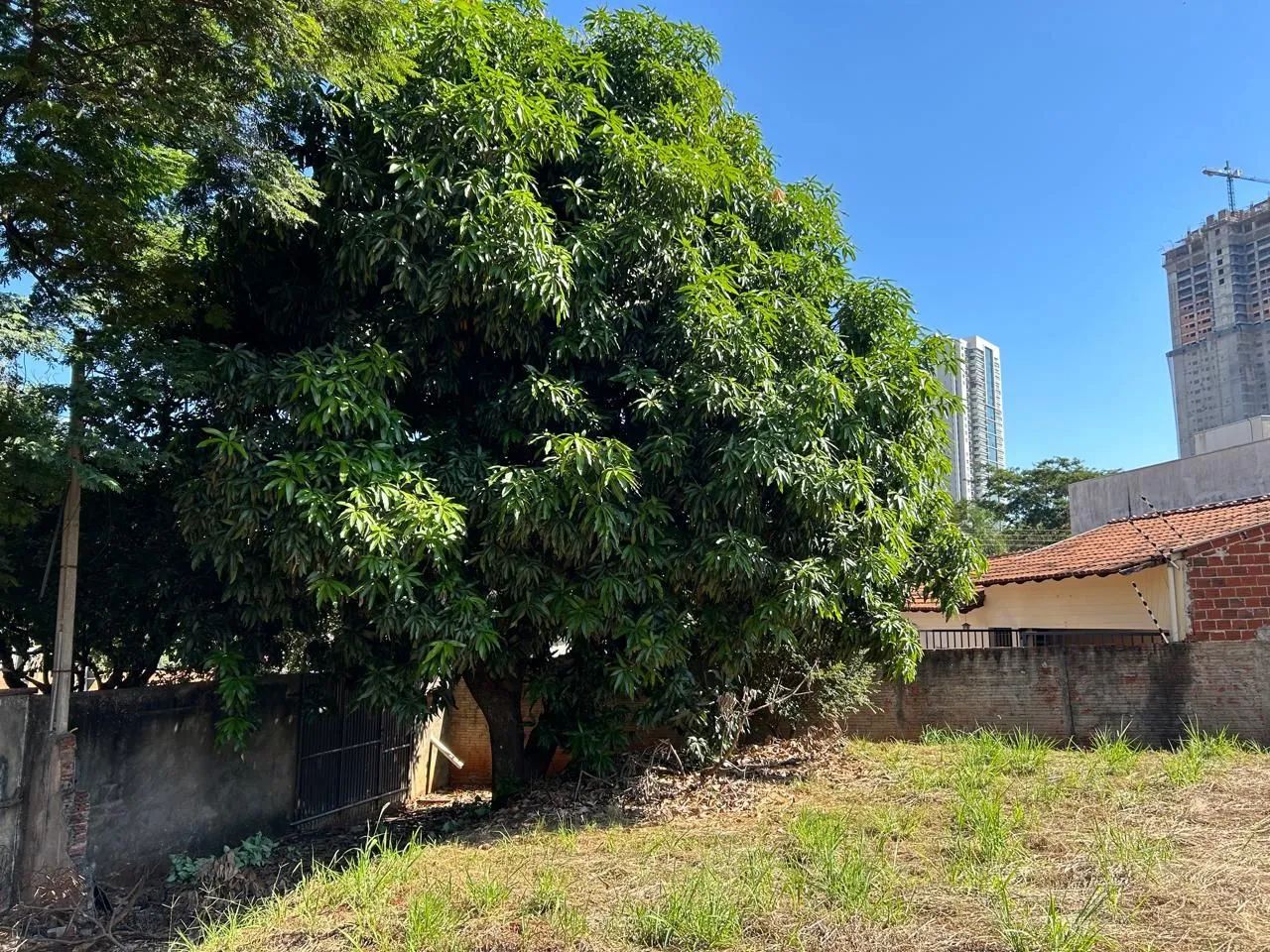 Terrenos à venda em Zona 08, Maringá-PR - Foto 3