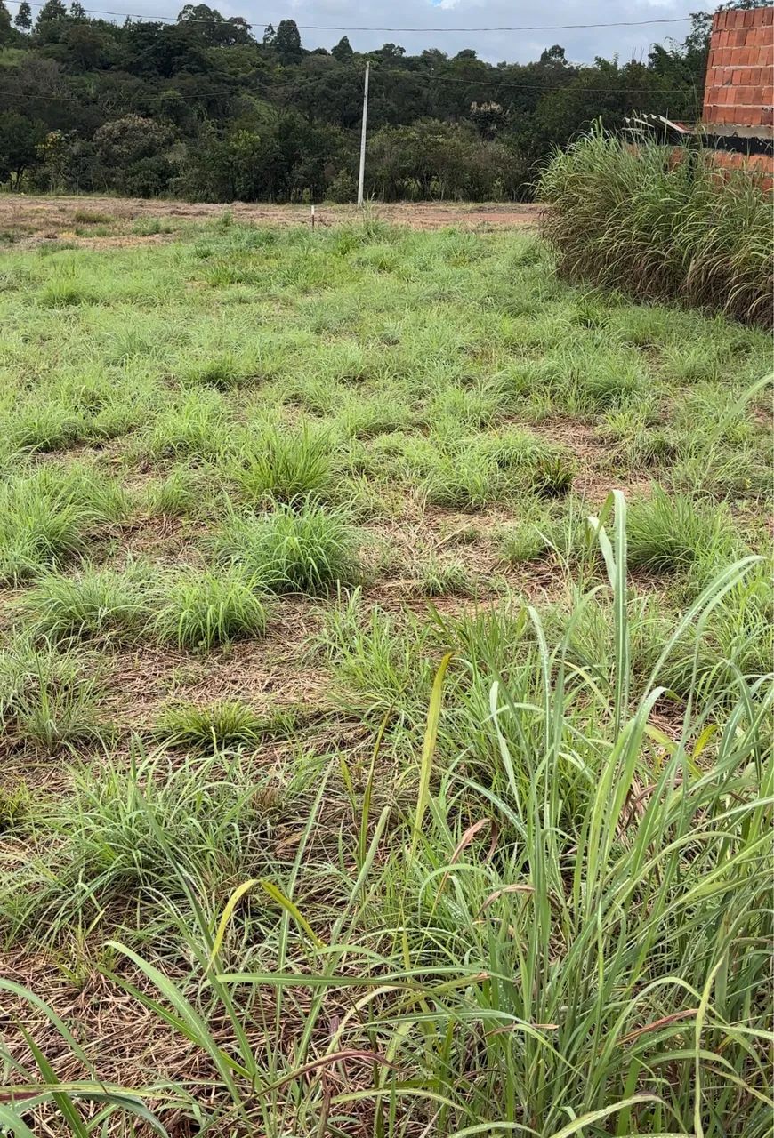 Foto - Brasília - Sul (Águas Claras)