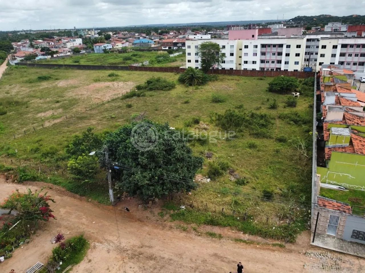 Terreno no Bairro do Planalto - Foto 4