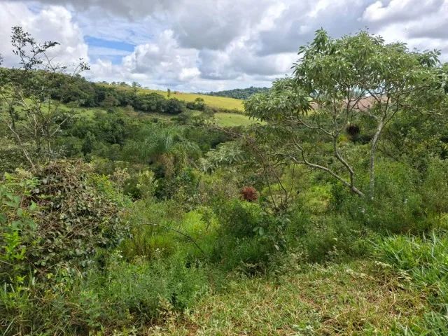 Vendo terreno com 10000 m2 em Piedade dos Gerais