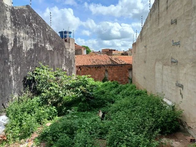 Terreno no Conj Santa Teresinha  - Foto 3