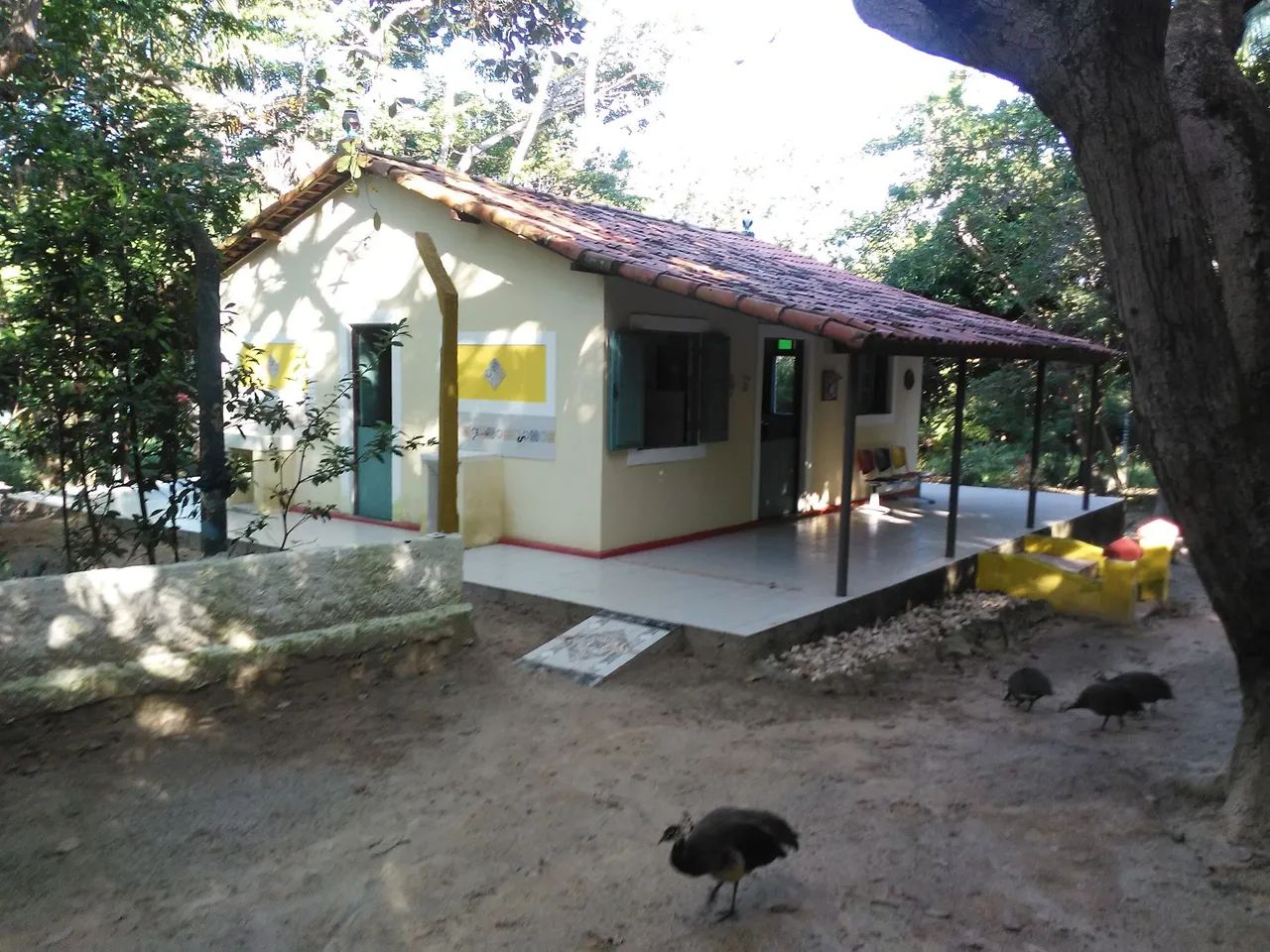 Campo e práia em um só lugar! - Foto 3