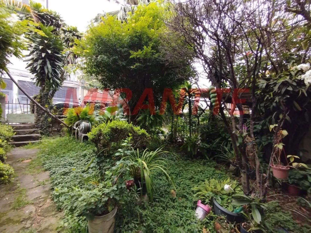 Terreno em Água Fria - Foto 3