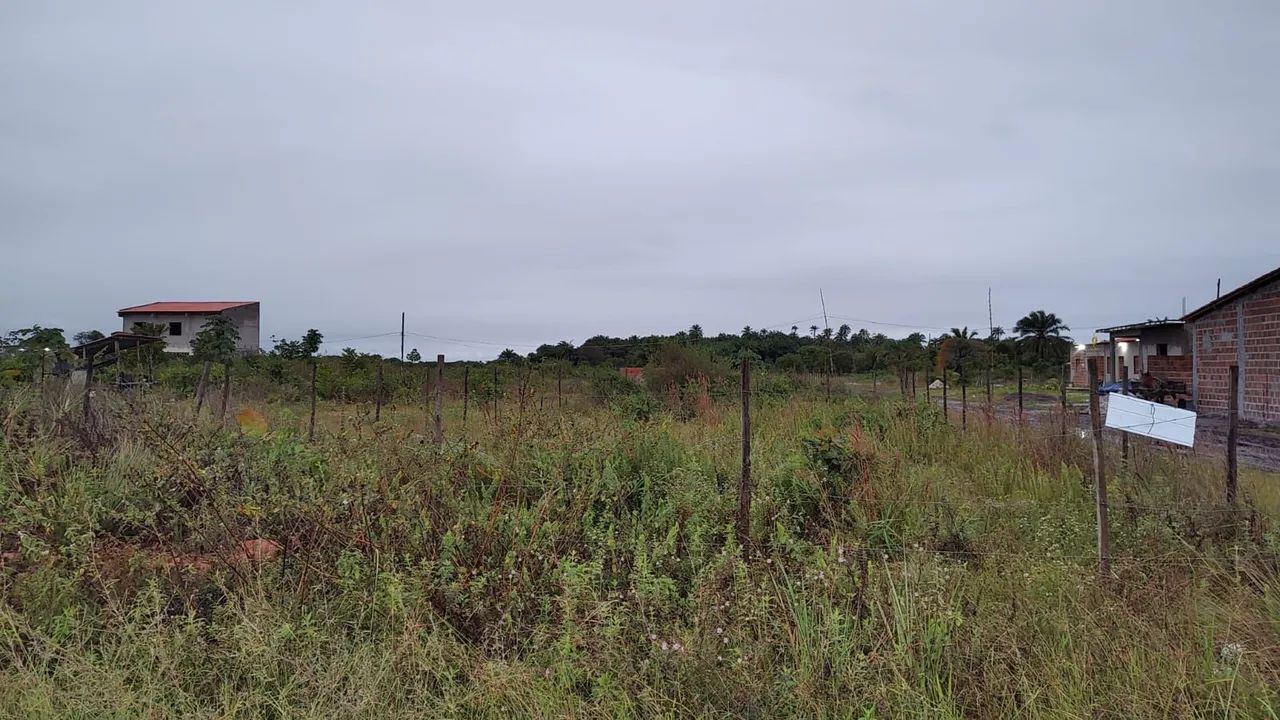 Terreno todo plano