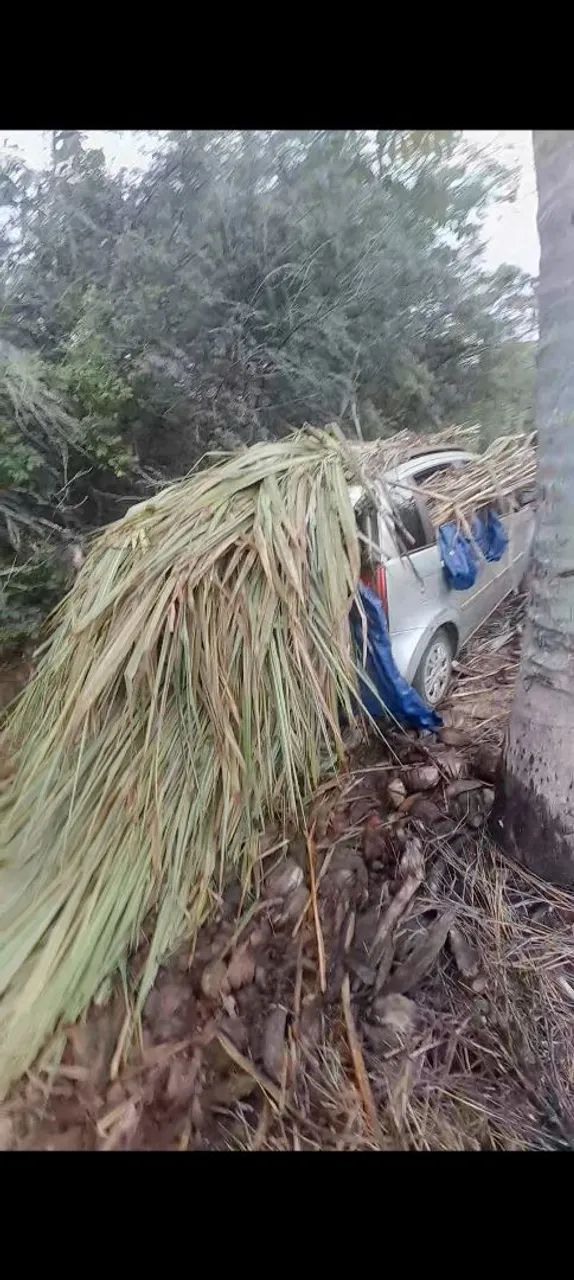 FACA SUA CAPINEIRA DE BRS CAPIAÇU E SORRIA NO VERÃO 