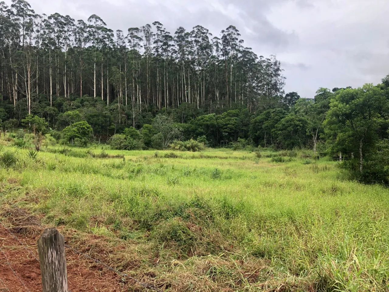 Chácara 2.500 m2 plana - Próxima da cidade
