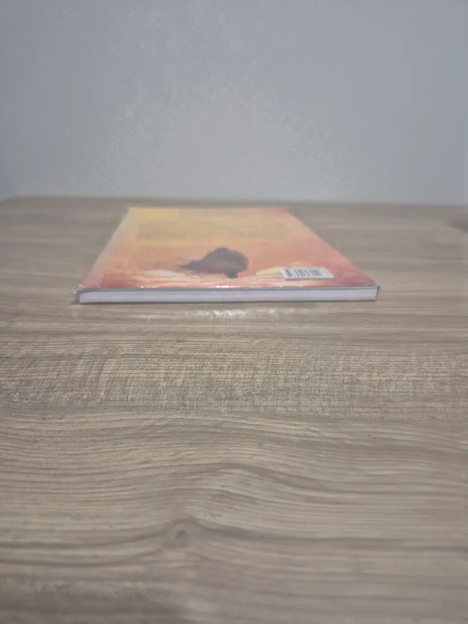 Duna Graphic Novel - Volume 1 - Foto 5