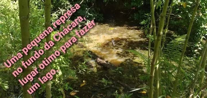 Chácara/Sítio próximo a Nova Veneza - Goiás - Foto 4