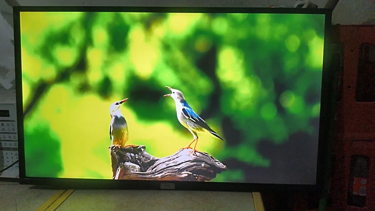 Tv Smart TCL 43 Polegadas Android Top de Verdade 