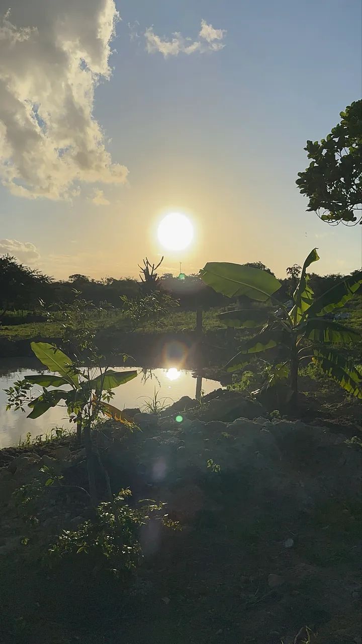 Foto - Salvador - Acupe