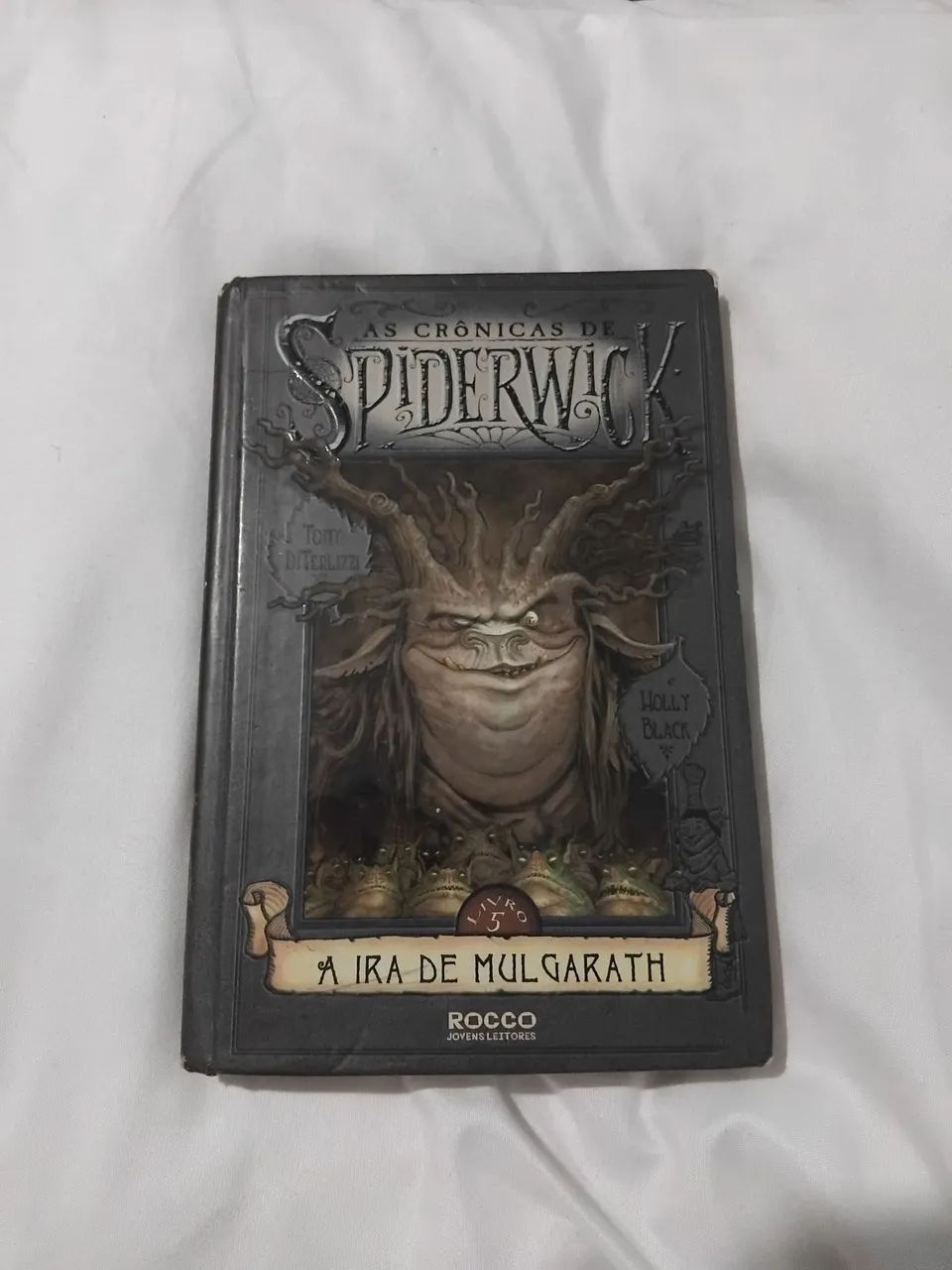 Livros As Crônicas de Spiderwick (3, 4 e 5) - Foto 5