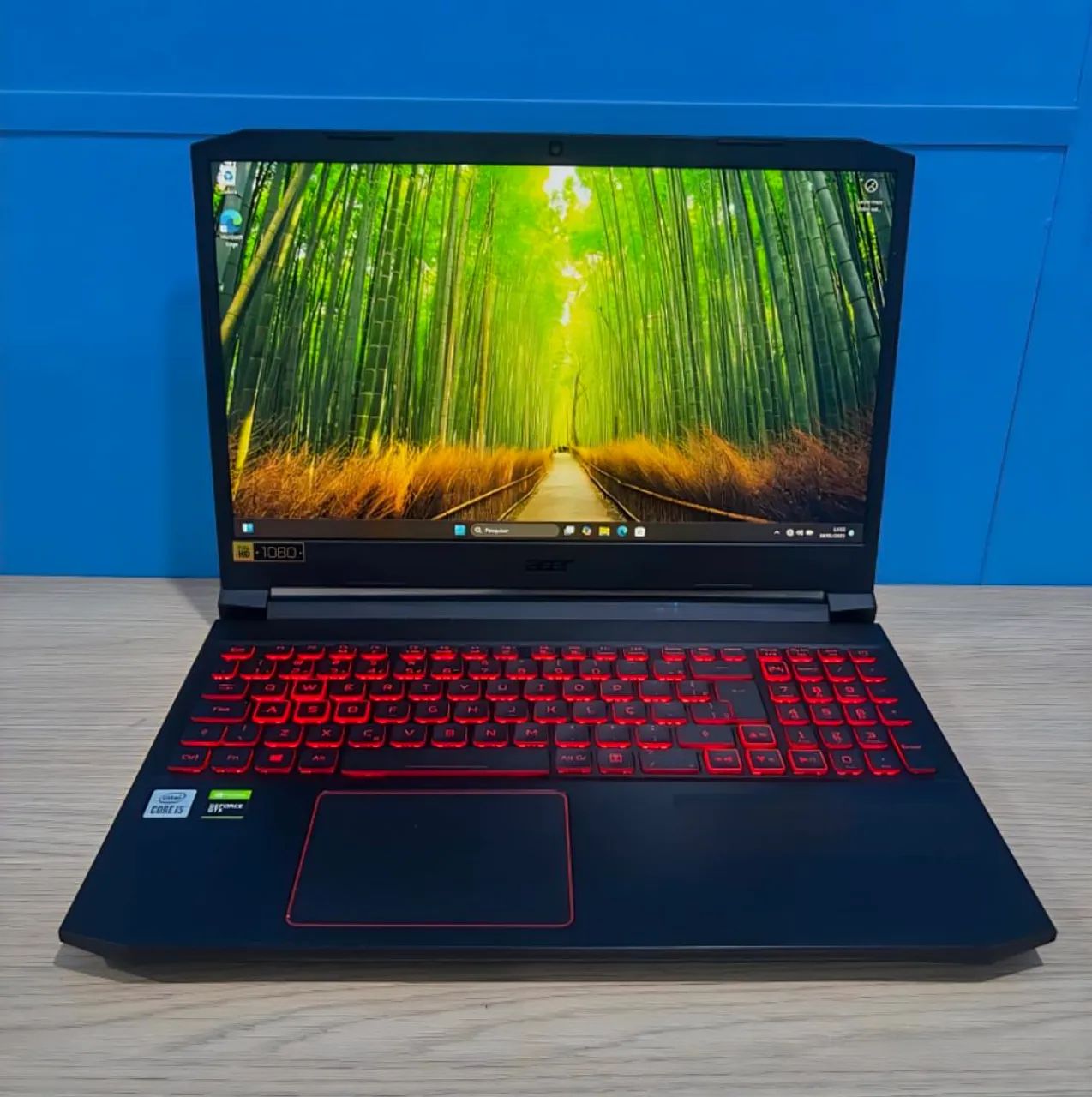 Notebook Acer / Nitro 5