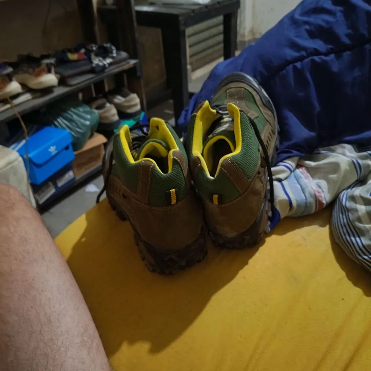 Bota 43