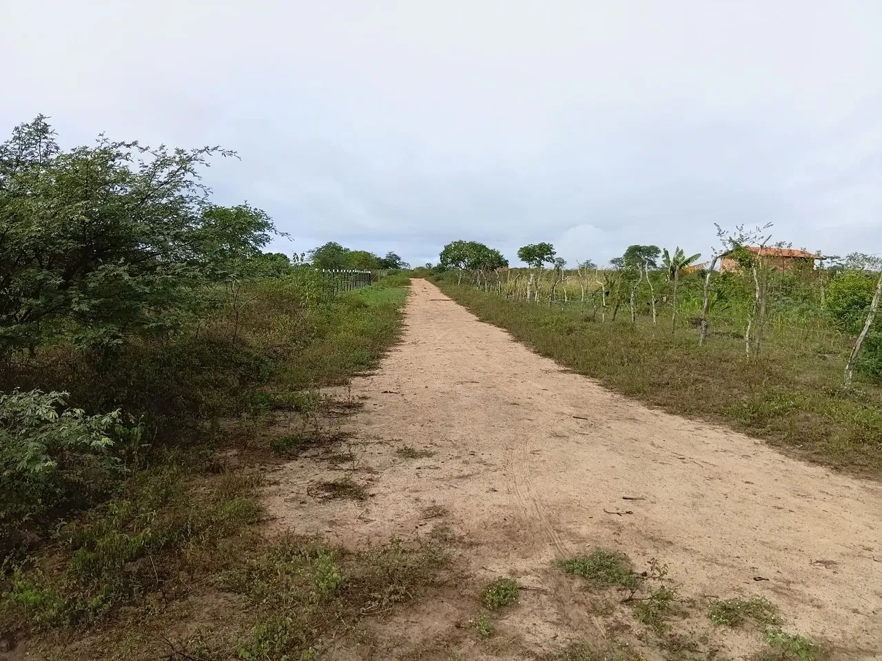Terreno  - Foto 4