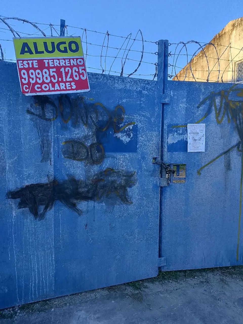 Terreno pra alugar - Foto 3