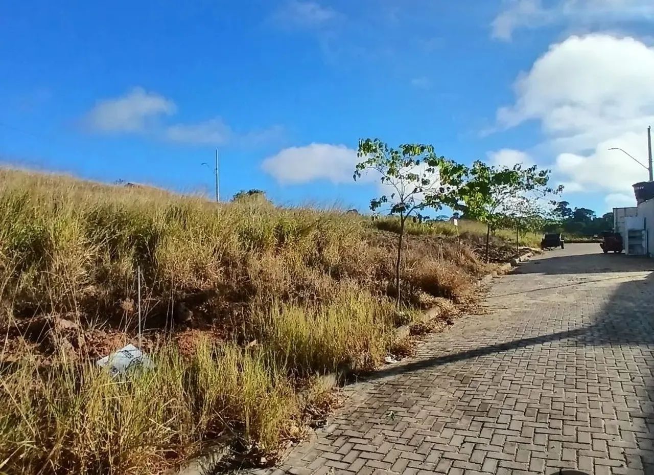  LOTE ALTA VILLE EM ARACRUZ - Foto 2