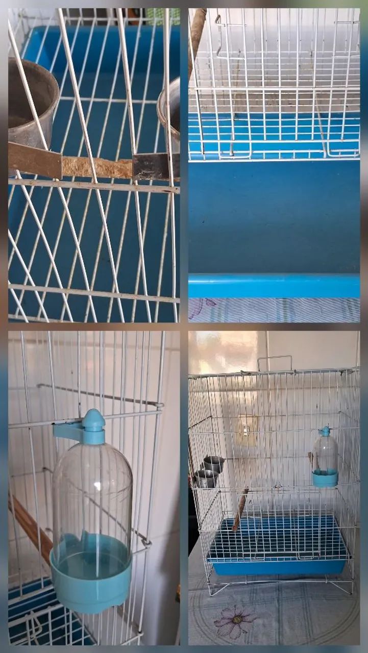 Vendo gaiola  - Foto 3