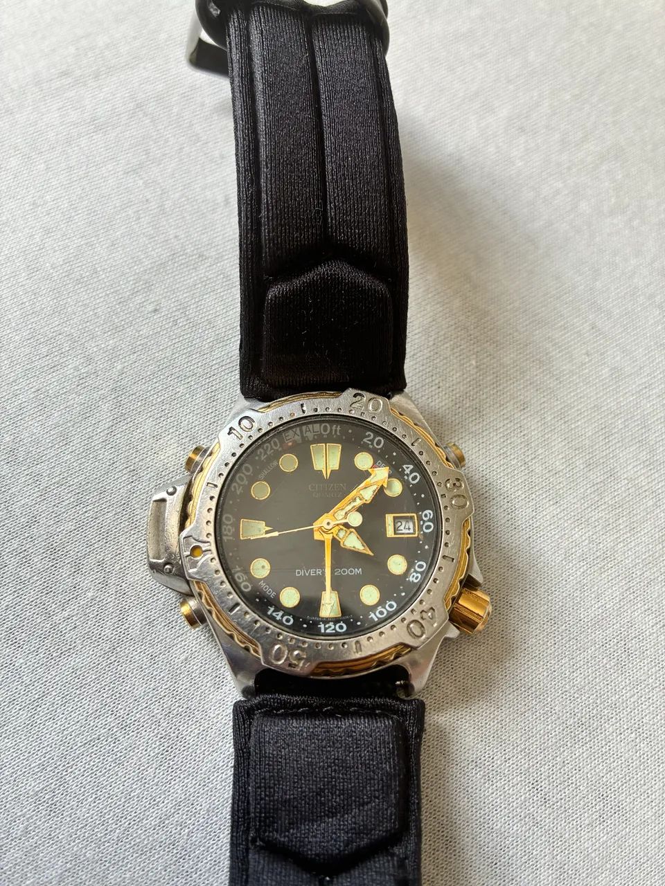 Citizen Aqualand Promaster