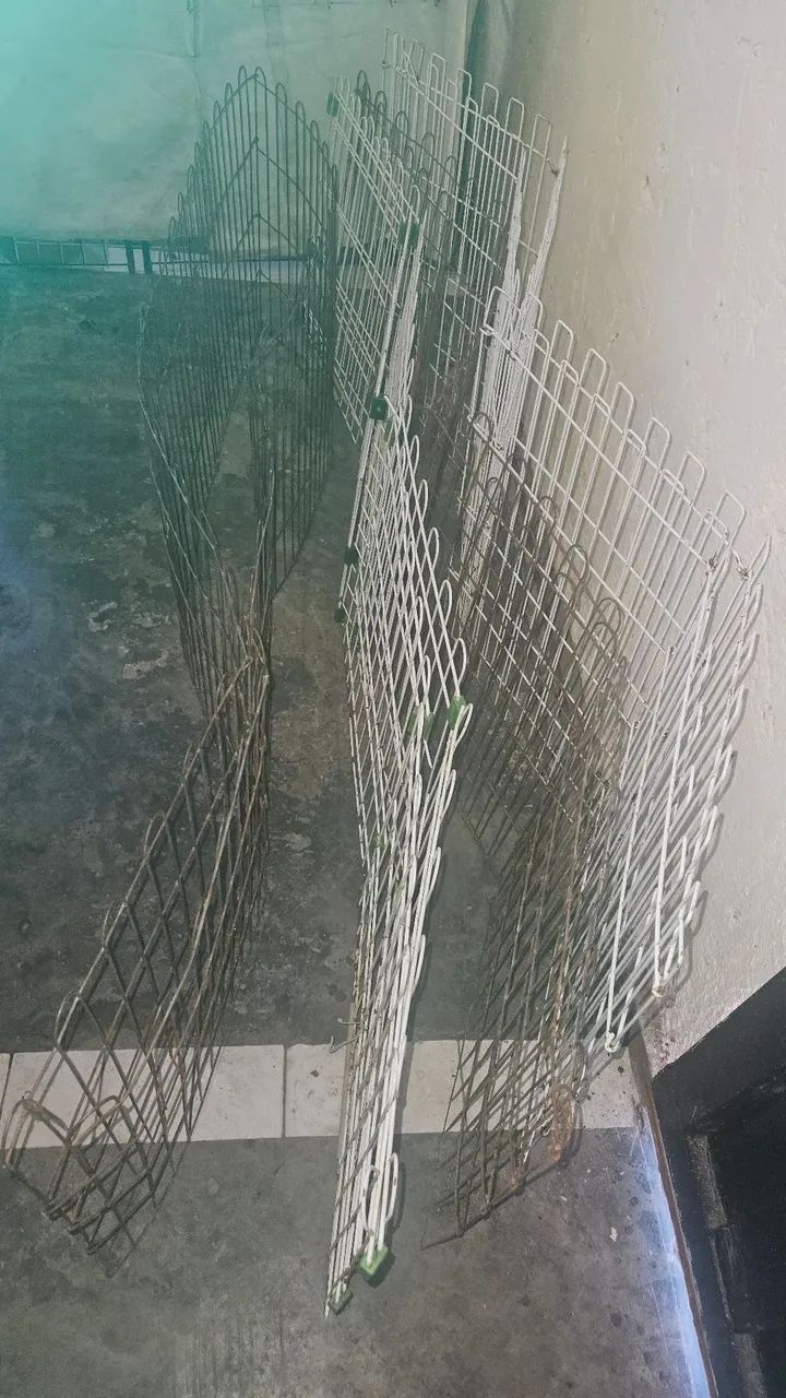 Vendo certinho pra animais - Foto 4