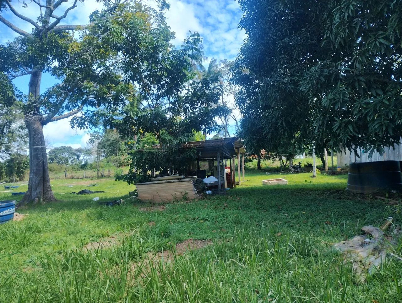 Chácara 5 hectares * ) - Foto 3