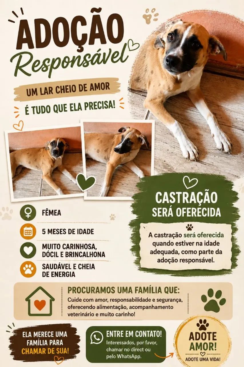 Adoção 