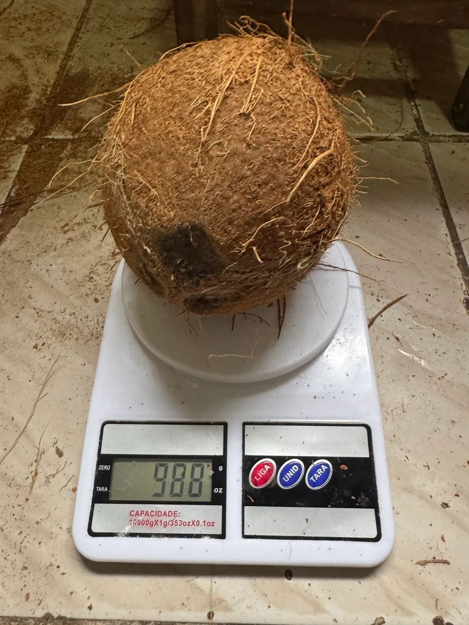 Coco seco kg 3,49 - Foto 2