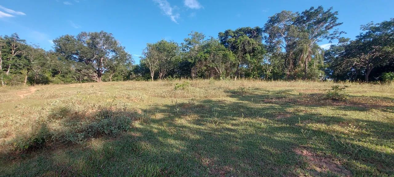 Terreno Comercial as margens da MG 010 - Foto 6