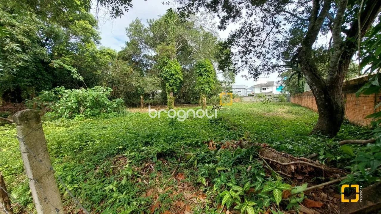 Terreno plano no Campeche central em Florianópolis SC - Foto 3