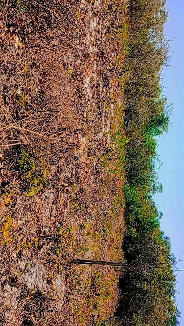 Terreno 20x60