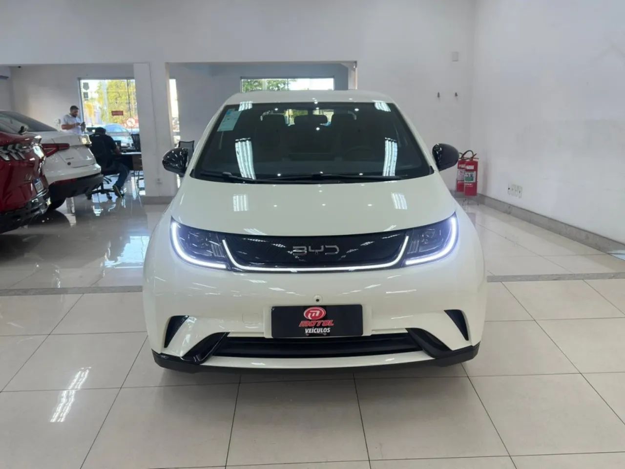 BYD Dolphin GS (Elétrico) 2027 - Foto 2