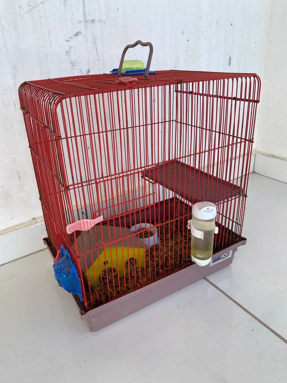 Hamster sírio com gaiola - Foto 2