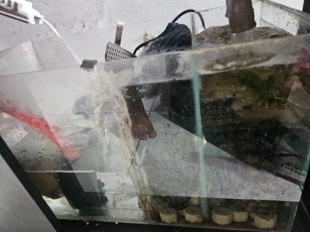 Aquário 200 litros com sump - Foto 3