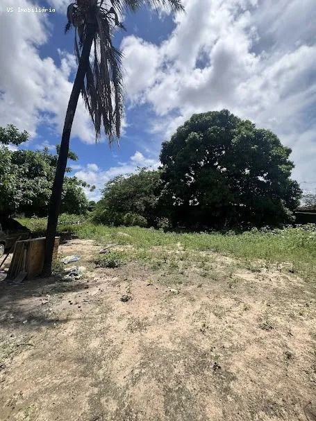 Casa para Venda no Tabapua - Foto 4
