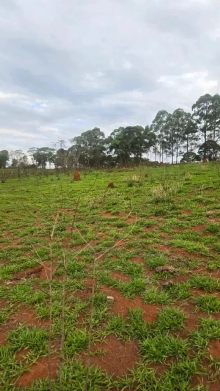 CHÁCARA 1.000m2 PRÓXIMA A CACHOEIRA, ITATIAUÇU - Foto 4
