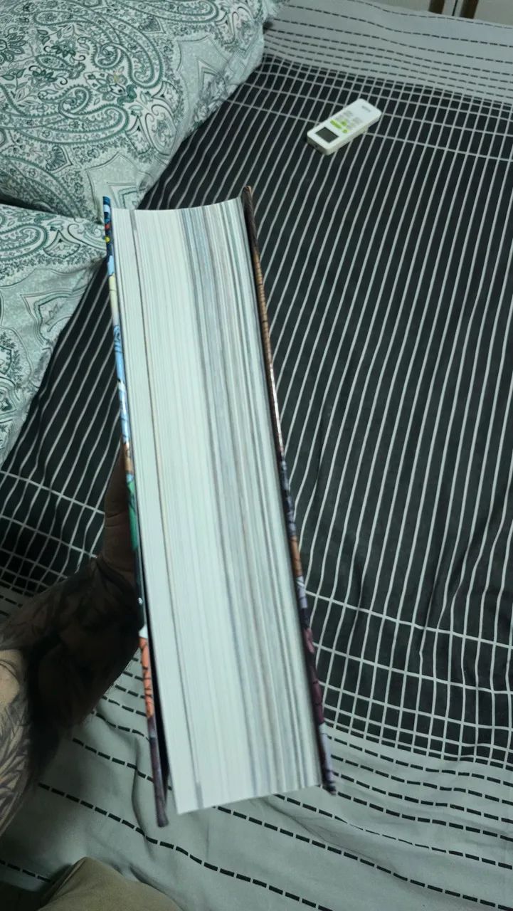 A morte do superman - Foto 2