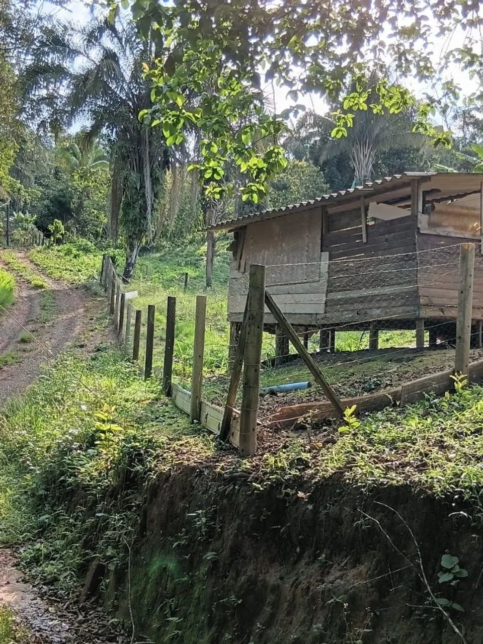 Chacara a venda  - Foto 2