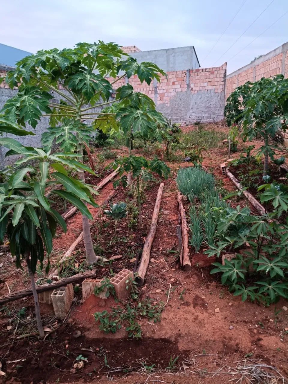 Lote espaçoso  - Foto 4