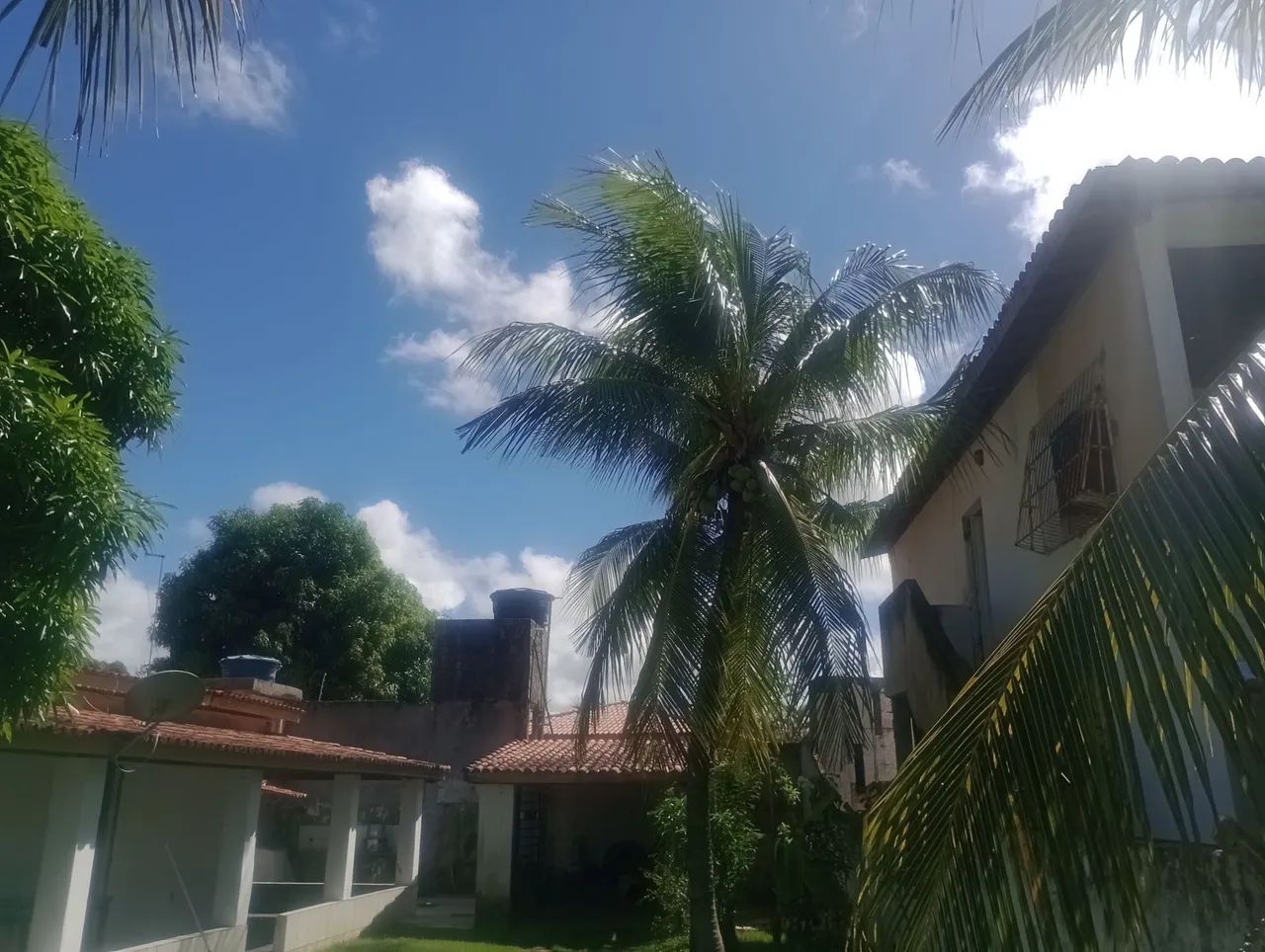 Vendo sítio em Monte gordo  - Foto 3