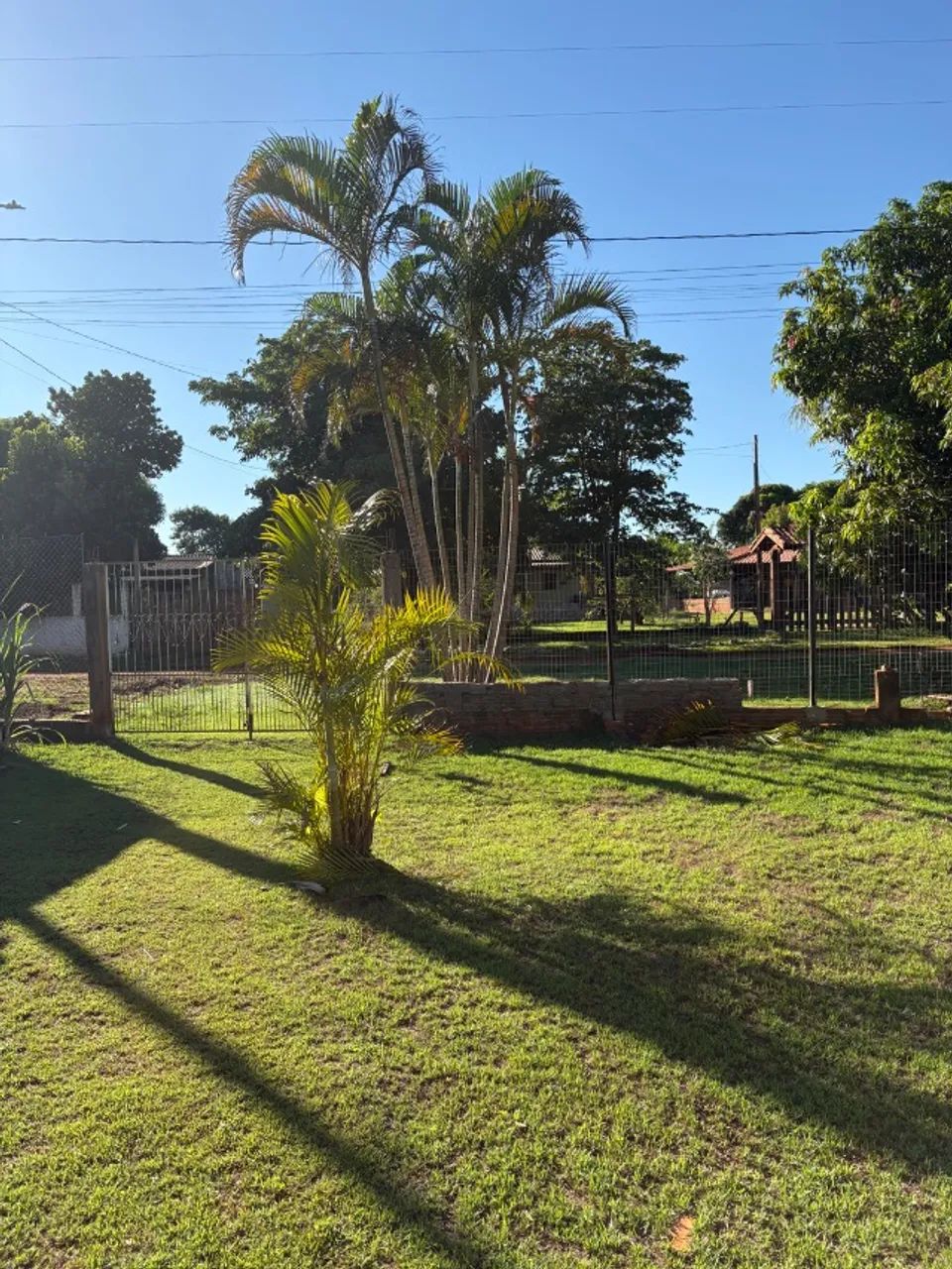 Venda Chácara em ALVORADA  - Foto 5