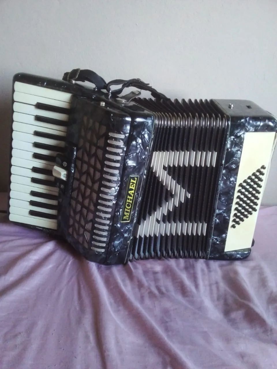 Acordeon - Foto 3