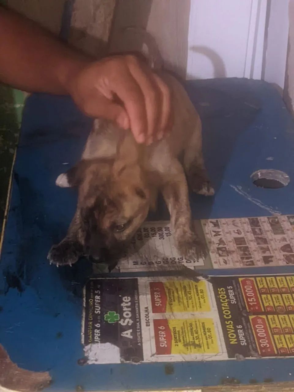 Doação  - Foto 3