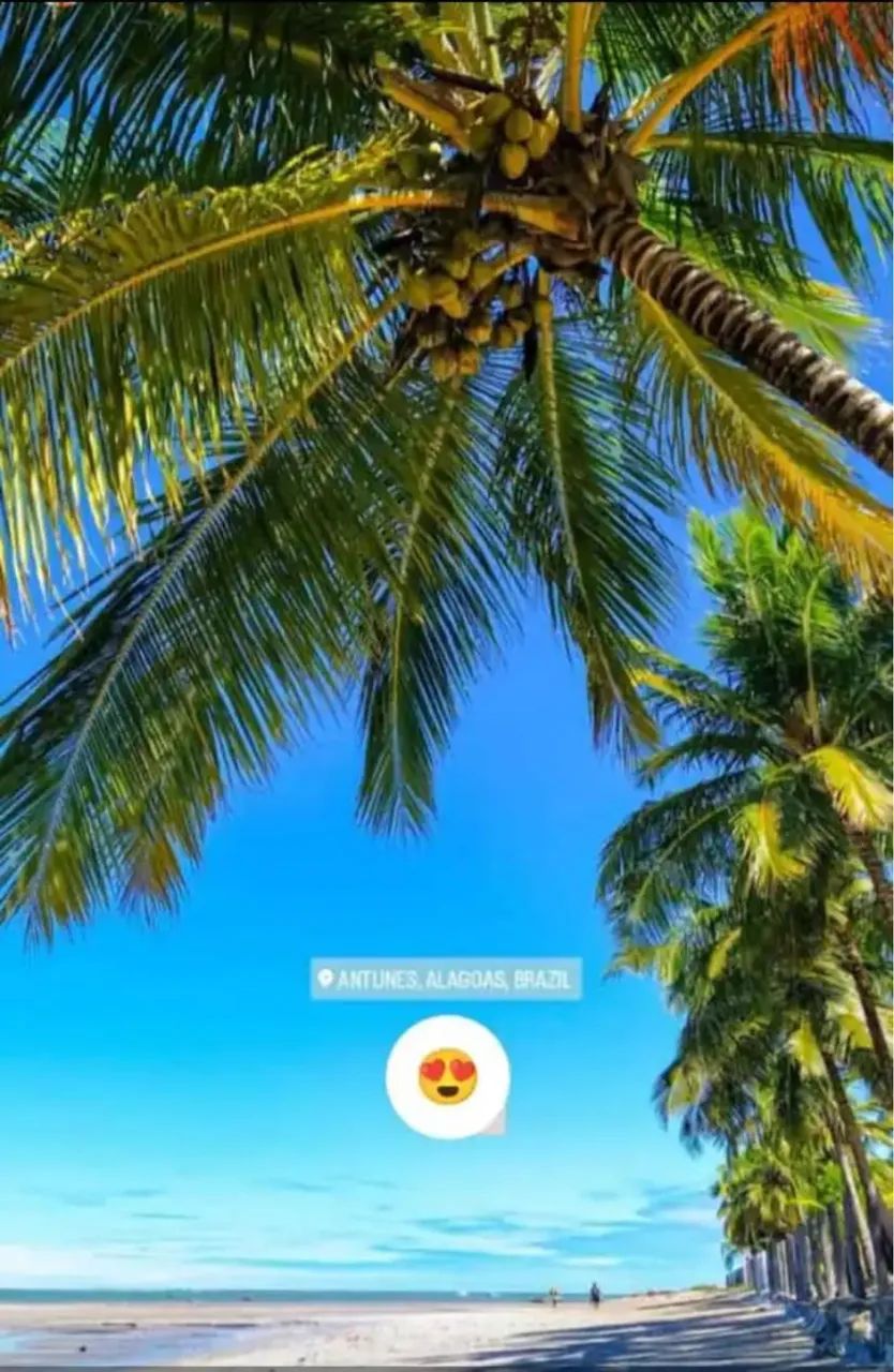 CASA PÉ NA AREIA / SÃO JOSÉ DA COROA GRANDE  - Foto 10