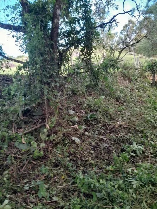 Terreno para Venda em Florianópolis, Sambaqui - Foto 5