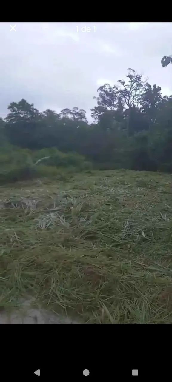 Terreno 