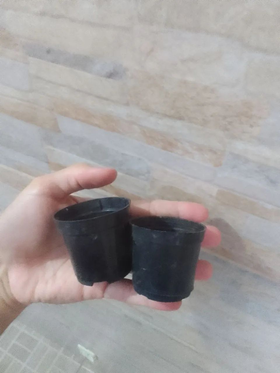 Mini Vasinhos.  - Foto 2