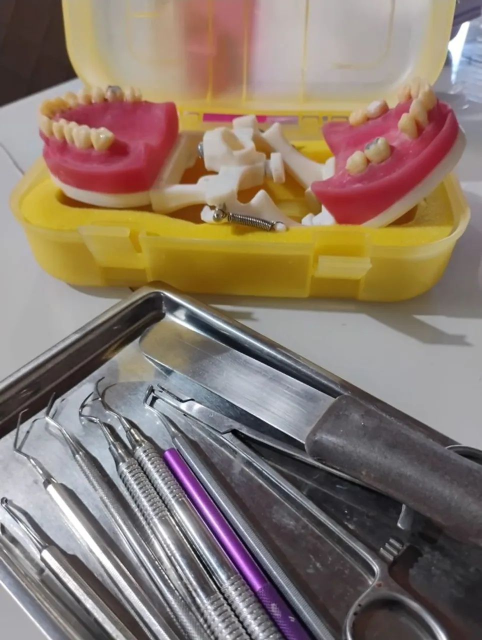 Manequim odontológico 