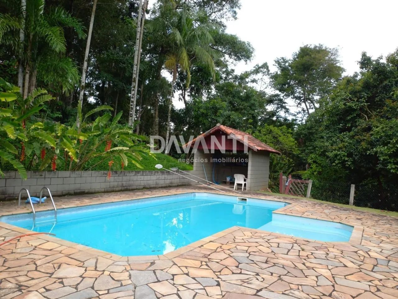 sítio - Monte Alegre - Vinhedo - Foto 2